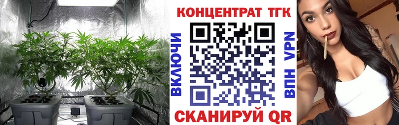 Дистиллят ТГК вейп с тгк  mega ONION  Каргат 